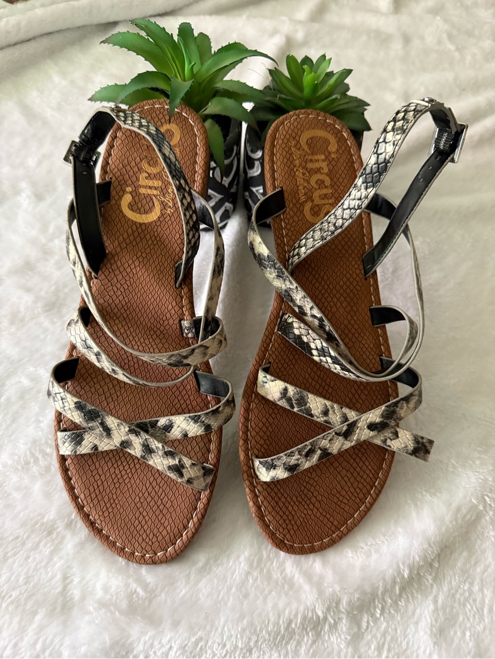 NWOT Circus by Sam Edelman CeeCee Strappy Snakeskin Flat Sandals 9.5 9 1/2 new